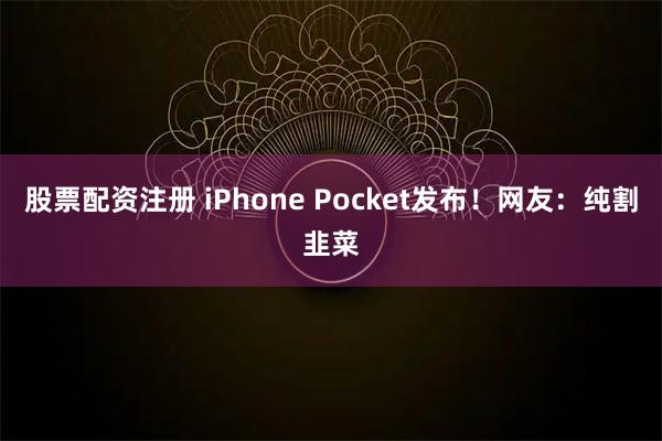 股票配资注册 iPhone Pocket发布！网友：纯割韭菜