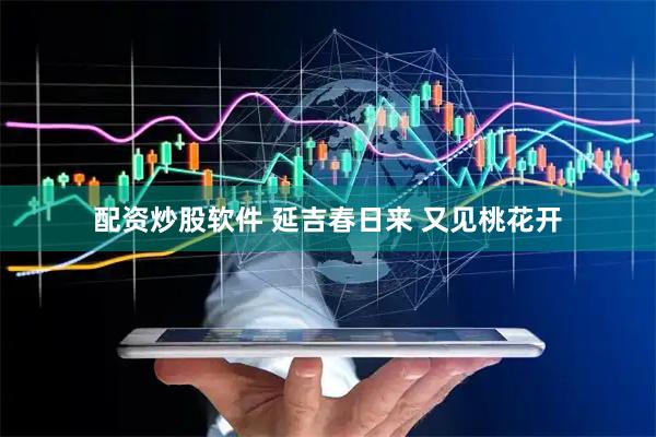 配资炒股软件 延吉春日来 又见桃花开